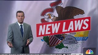 New Laws Take Effect in Illinois | NBC Chicago