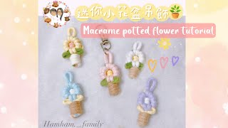 Macrame potted flowers tutorial 迷你小花盆栽編織教學 -  Hamham._.family🐹 マクラメ