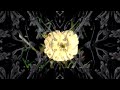 ///M369 - You remember (Official Video)