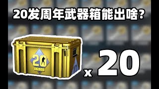 【CSGO开箱】20发20周年武器箱能出啥？？！崭新暗金AWP野火？？