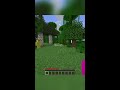 minecraft manhunt vs. twishorts