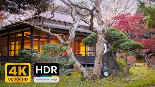 Peak Autumn in Tokyo Koishikawa Korakuen Garden - 4K HDR