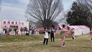 古河桃祭り、古河甚句保存会　pocket3 4k 60f  2024-03-24