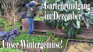 Gemüsegarten im ❄️Dezember❄️ Unser Wintergemüse aus dem Garten 🥬