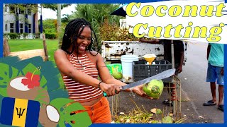 Chopping Coconuts with a Machete - Coconut Vendors Barbados