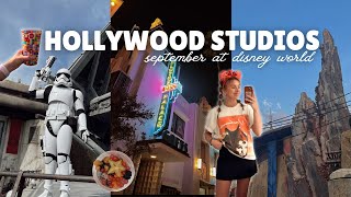 HOLLYWOOD STUDIOS VLOG! Round-up Rodeo BBQ, Star Wars, Fantasmic, Toy Story, Rock N' Rollercoaster