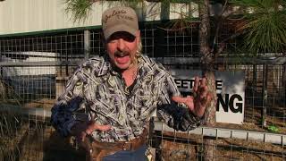 Joe Exotic's Response to Discovery Channel's Eaten Alive