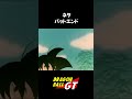 七夕フェス記念【ドラゴンボール】 ドッカンバトル