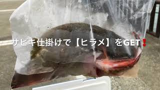 fishingmax和歌山インター店 26日マリーナ海釣り公園RT