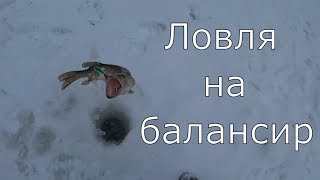 Белая клюет, лови - не хочу! Щука на балансир. Жерлицы.