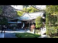 morning sutra chants at hokokuji in kamakura