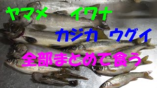 【川魚料理】ヤマメの塩焼き、イワナのアクアパッツァ、ウグイとカジカの南蛮漬け