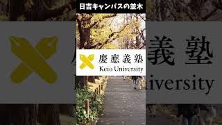 相鉄東急直通線は慶應の陰謀!? 【新横浜線】 #shorts