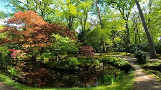 Walking in The Hague | Japanese Garden | デン・ハーグの日本庭園散歩 ⛅ | The Netherlands - 4K60