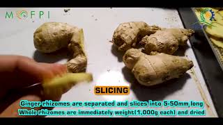 Ginger Powder Processing under PMFME Scheme