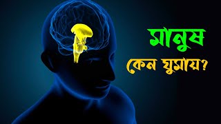 মানুষ কেন ঘুমায়? | Sleeping man | Dhaka Post