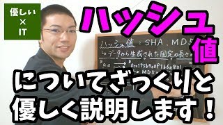 【優しいIT】ハッシュ値についてざっくりと優しく説明します！