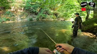 残暑残る 岩手の美しい渓流で川釣りしてきた【岩手渓流釣りルアー】