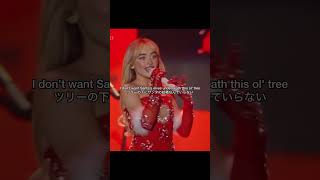 歌詞が大人すぎるクリスマスソング🫢 #サブリナカーペンター #SabrinaCarpenter #nonsensechristmas #洋楽和訳 #洋楽