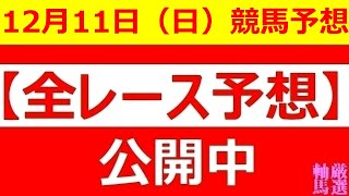 2022年12月11日(日)【全レース予想】（全レース情報）■阪神ジュベナイルF 2022■カペラS 2022■金沢競馬 中日杯■◆水沢競馬場◆金沢競馬場◆