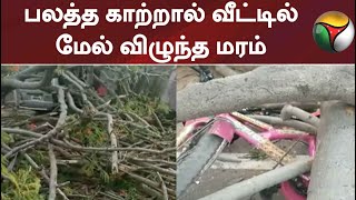 பலத்த காற்றால் வீட்டில் மேல் விழுந்த மரம்