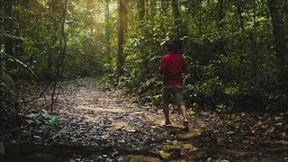 Get lost in Nature's Beauty |  Jungle Camping | Shendurney |Woody Rockwood