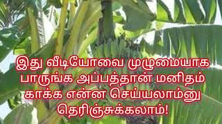 மனிதம் காக்க என்ன செய்யலாம்னு தெரிஞ்சுக்க இந்த வீடியோவை பாருங்க!