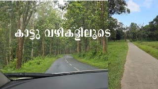 ഏറ്റവും മികച്ച കാട്ടു റോഡുകൾ..വയനാട്ടിൽ | Forest Ride in Wayanad | To Gundelpet