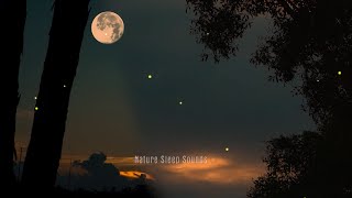 Night Ambient Sounds, Cricket, Swamp Sounds at Night, Sleep and Relaxation Meditation Sounds