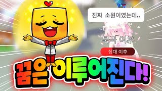 [입양하세요] 드림펫의 소원을 이뤄드립니당!