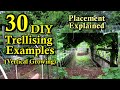 30 DIY Garden Trellising Examples: Build Overview, Crop Examples, & Placement Strategies!