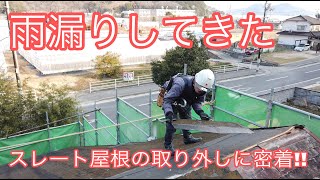 【雨漏り屋根葺替え】化粧スレート屋根から雨漏り！