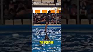 The Best Dolphin Trick Ever!