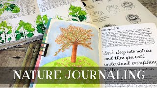 New Skillshare Class Trailer | Get Started with Nature Journaling