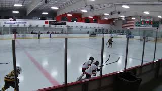 2012 01 24   Hockey   4K