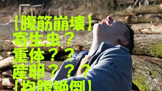 【腹筋崩壊】寄生虫【抱腹絶倒】