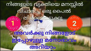 ♦️✨നിങ്ങളുടെ വ്യക്തിയെ മനസ്സിൽ വിചാരിച്ചു ഒരു പൈൽ ചൂസ് ചെയ്യു 🧿അവർക്കു നിങ്ങളോടുള്ള മനോഭാവം അറിയാം 🥰