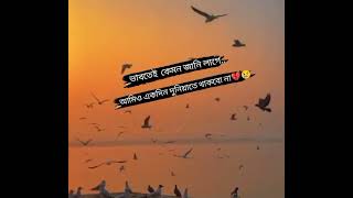 বাস্তবতার কাছে হেরেচ্ছে ভালােবাসা|eart Touching Love...😡😡😡  attitude