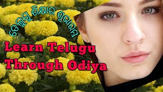 Learn Telugu Quickly, ସରଳ ଓ ସହଜ ତେଲୁଗୁ ଶିକ୍ଷା