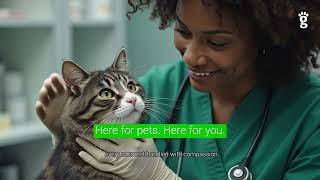 Greenlight Pet ER: Caring with Transparency, Treating with Empathy