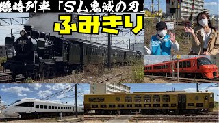 【SL鬼滅の刃】【ふみきり】無限SLを待ってたら色んな列車が来た！