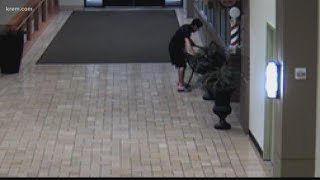 Downtown Spokane property crime spree totaled over $14,000 in damages, theft, police say