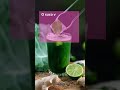 SUCO VERDE DETOX PARA DESINCHAR E MELHORAR A SAÚDE #shorts