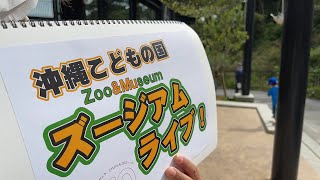 【告知！沖縄こどもの国ズージアムライブ！】ジャガー