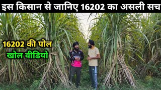 इस किसान से जानिए 16202 का असली सच, 16202 की पोल खोल वीडियो / 16202 ganna variety