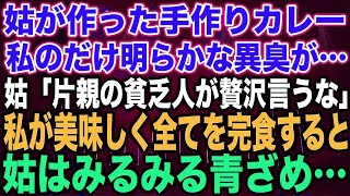 【スカッとする話】姑が作った手作りカレー私のだけ明らかな異臭が…姑「片親の貧乏人が贅沢言うな」私が美味しく全てを完食すると姑はみるみる青ざめ…