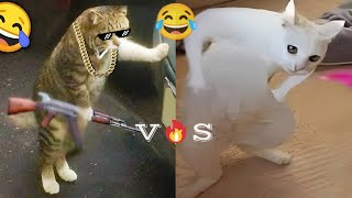 New Funny Cute Cats and dogs 😍😂 Funniest Animals 2024 🥰🐱#12