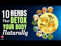 10 Herbs That Detox Your Body Naturally | Healing Herbs | Medicinal Herbs | Blissed Zone