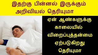 இதற்கு பின்னல் இருக்கும் அறிவியல் தெரியுமா ஏன் ஆண்களுக்கு காலையில் விறைப்புத்தன்மை ஏற்படுகிறது தெரிய