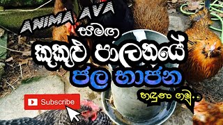 Poultry Watering Equipment. කුකුළු පාලනය ට යොදාගනු ලබන ජල බාජන.